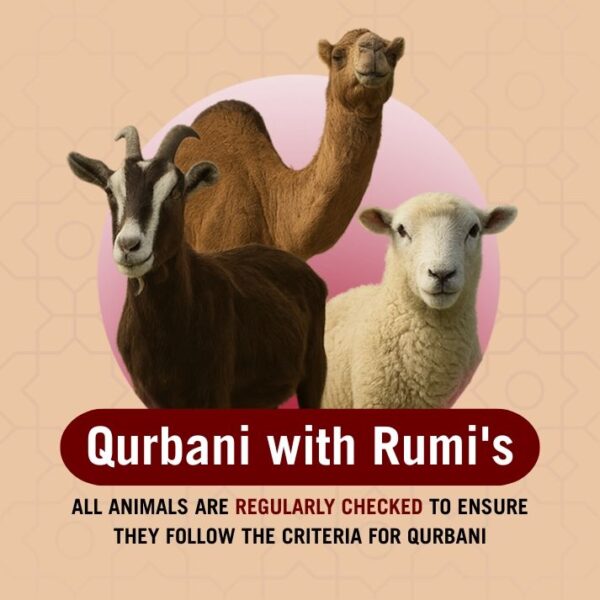 Qurbani 2025 Pre Order - PLEASE READ THE DESCRIPTION AND FAQs BEFORE YOU PLACE THE ORDER