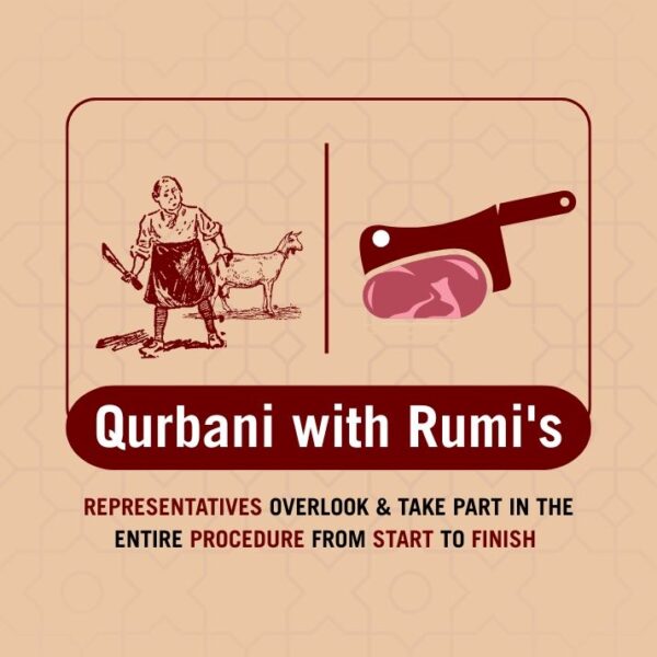 Qurbani 2025 Pre Order - PLEASE READ THE DESCRIPTION AND FAQs BEFORE YOU PLACE THE ORDER - Image 2