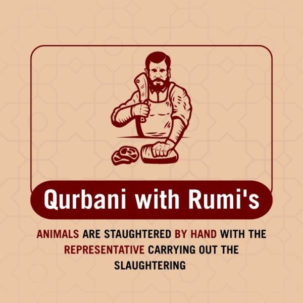 Qurbani 2025 Pre Order - PLEASE READ THE DESCRIPTION AND FAQs BEFORE YOU PLACE THE ORDER - Image 3